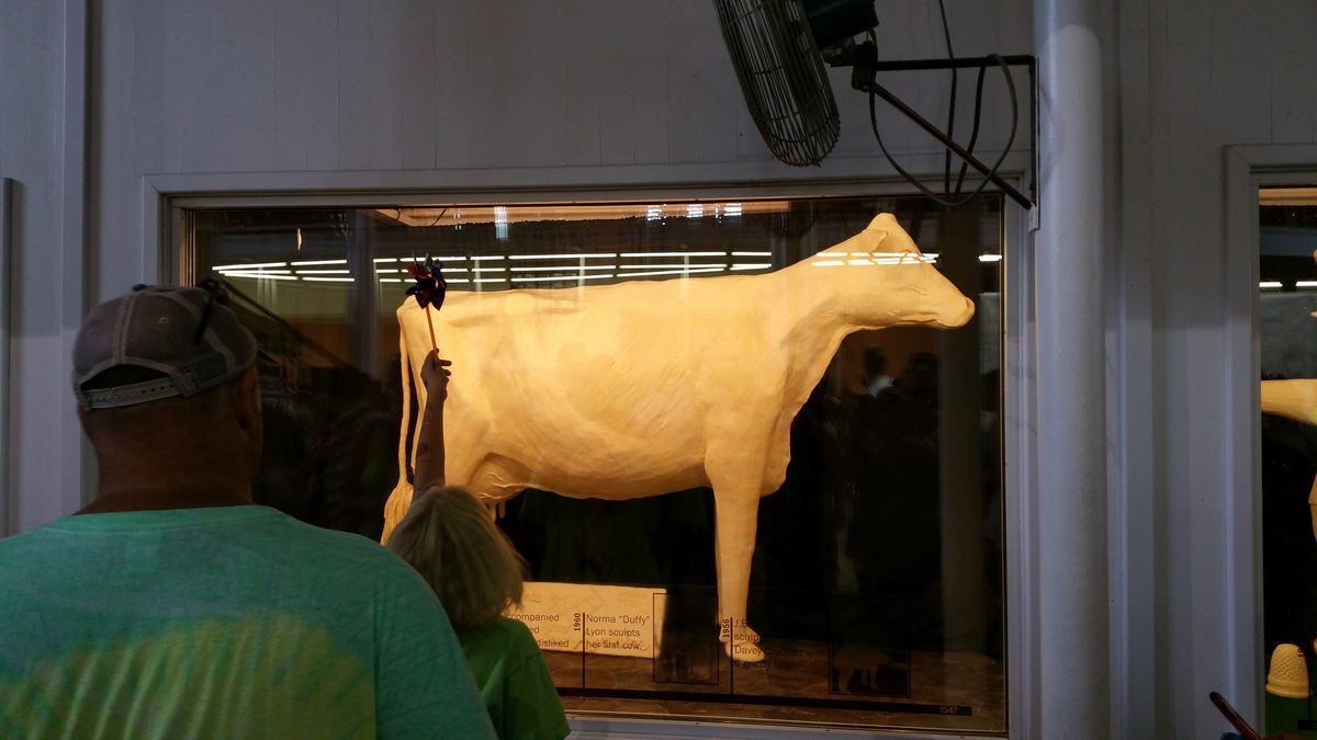 The butter cow at the Iowa State Fair.